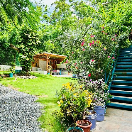Hotel Palmare House San Andrés Esterno foto