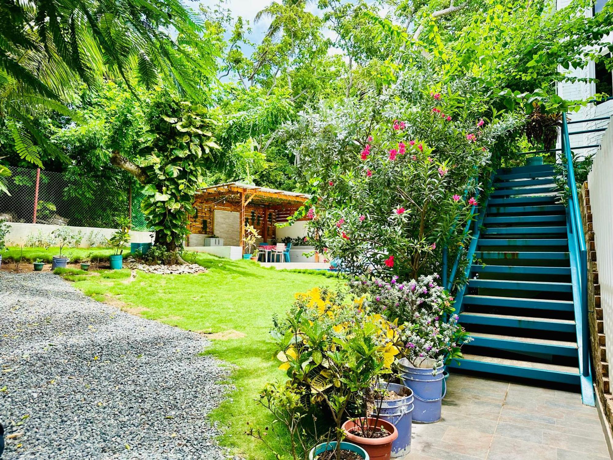 Hotel Palmare House San Andrés Esterno foto